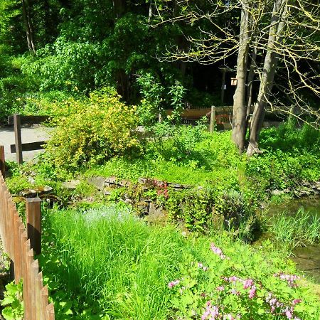 Hoellenmuehle Bed & Breakfast At The Mill Pond Hessisch Oldendorf ภายนอก รูปภาพ