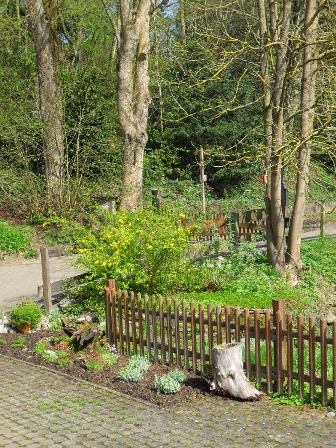 Hoellenmuehle Bed & Breakfast At The Mill Pond Hessisch Oldendorf ภายนอก รูปภาพ