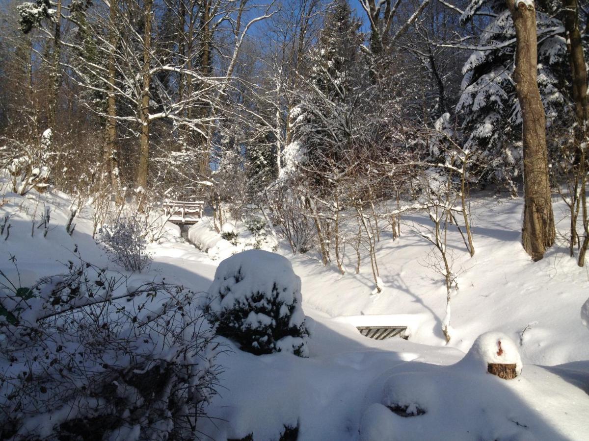 Hoellenmuehle Bed & Breakfast At The Mill Pond Hessisch Oldendorf ภายนอก รูปภาพ